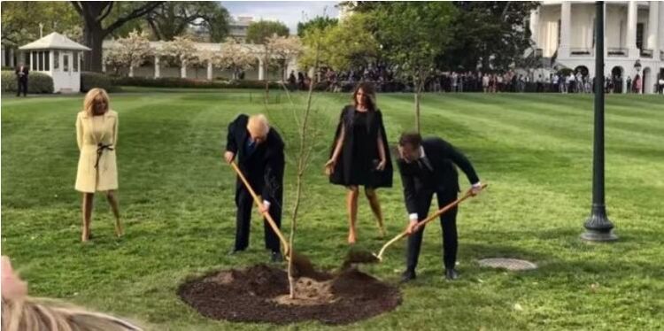 马克龙展开对美国事访问 与特朗普种下“友谊树”