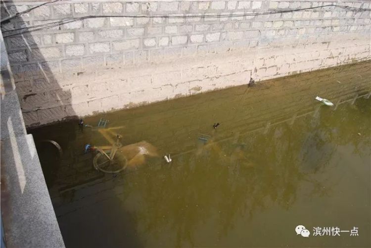 滨州哈罗单车接二连三“溺水” 人为破坏者或被拘留