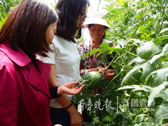 商河县郑路镇有多少人口(2)