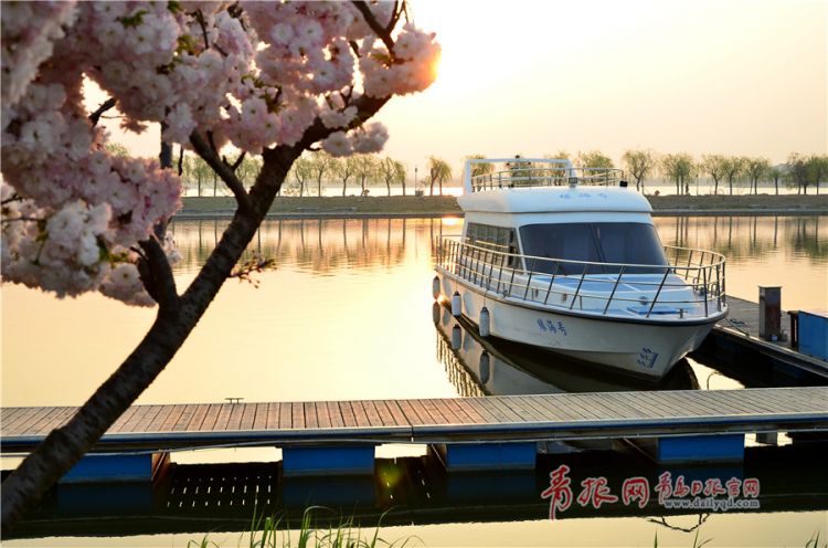 组图：大沽河旅游度假区花红柳绿 迎来最美季节