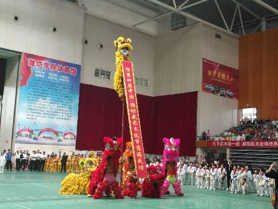 第四届中国·潍坊武术文化节开幕 16个国家运动员参与