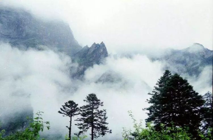 瞧你们“山东大汉”干的好事儿！瞧瞧！