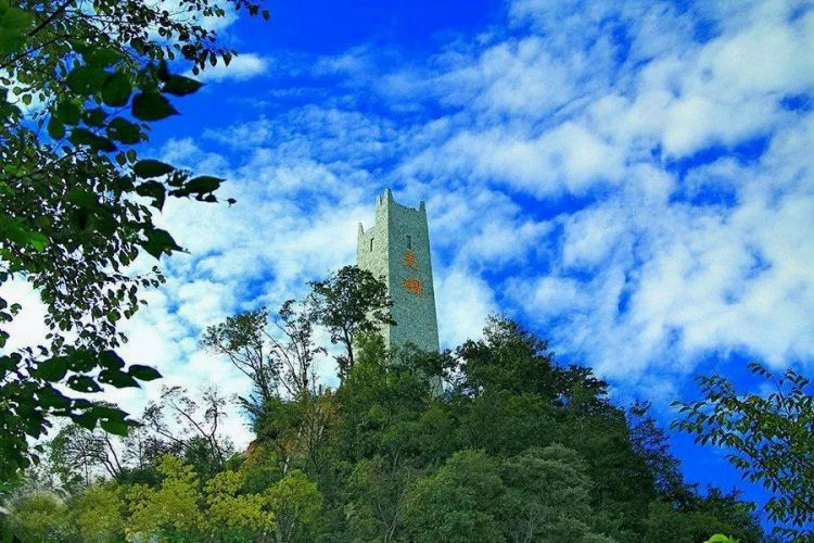 瞧你们“山东大汉”干的好事儿！瞧瞧！
