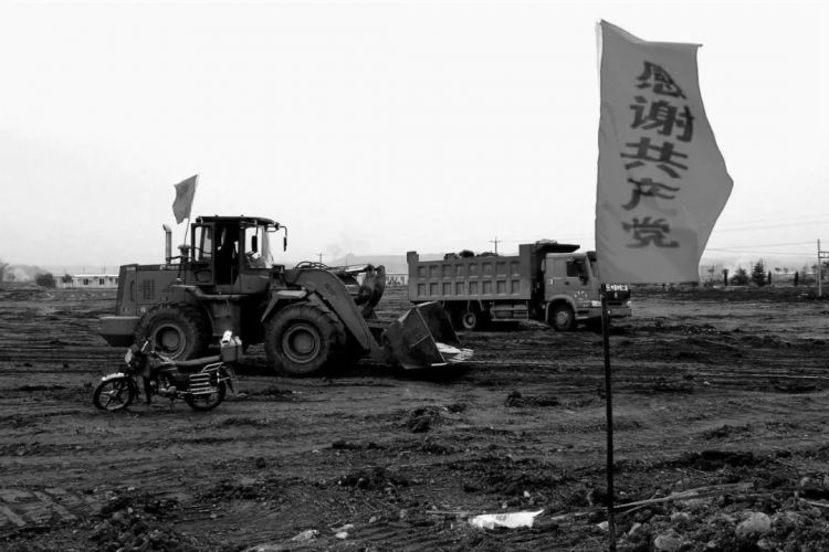 瞧你们“山东大汉”干的好事儿！瞧瞧！