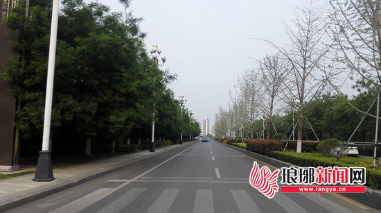 临沂北城新区兵圣路：路宽整洁 犹如漫步公园中