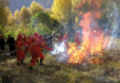 淄博2018春季森林防火期延长至6月底