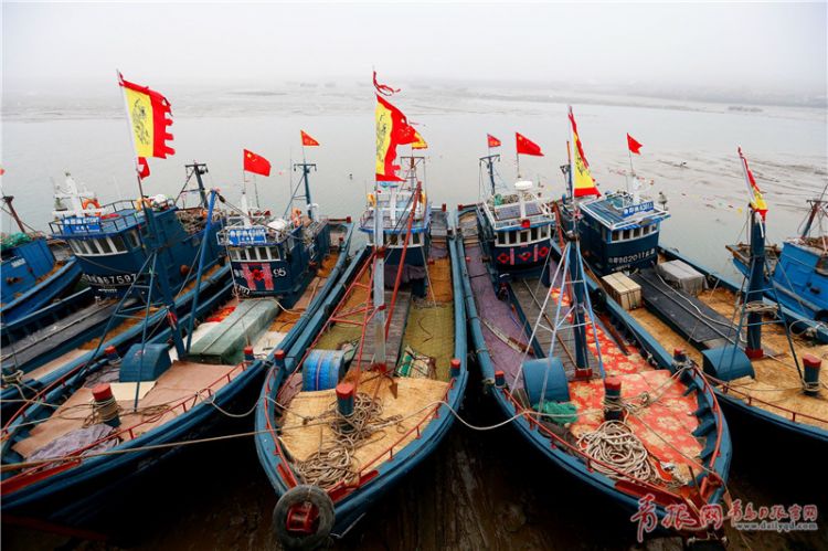 黄海渤海进入伏季休渔期 即墨渔船归岸停靠(组图)