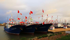 休渔期开始 淄博市场部分海鲜价格上涨