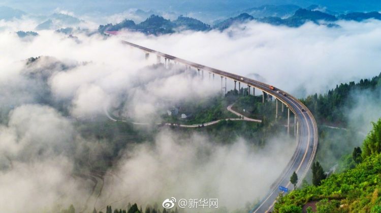 美哭！这是雨后的重庆“网红桥” 恍若仙境
