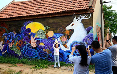潍坊现涂鸦村 100多名艺术家耗时一月用艺术改变乡村
