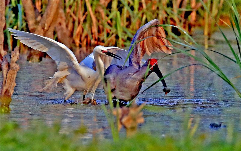 IMG_27