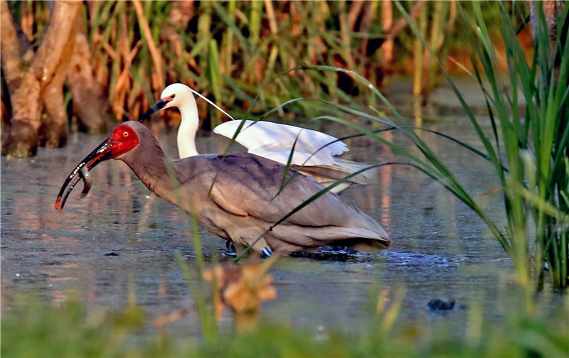 IMG_24