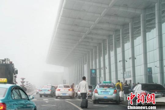 大连机场航班因浓雾大面积延误 逾2万名旅客受影响