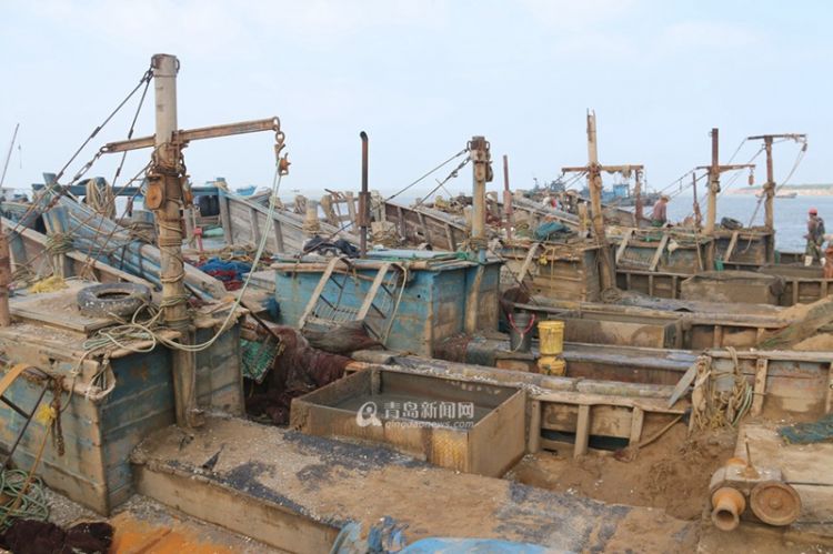 国家渔港规划发布 红岛中心渔港上榜青岛渔港