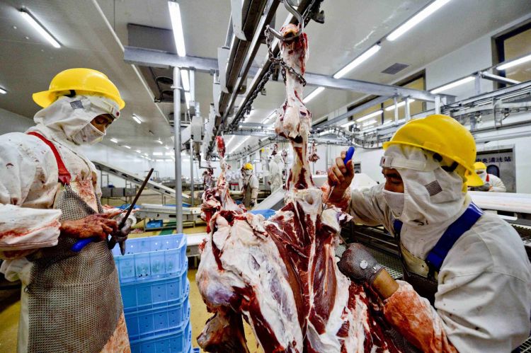 法媒为本国牛肉“代言” 称近期有望进入中国市场