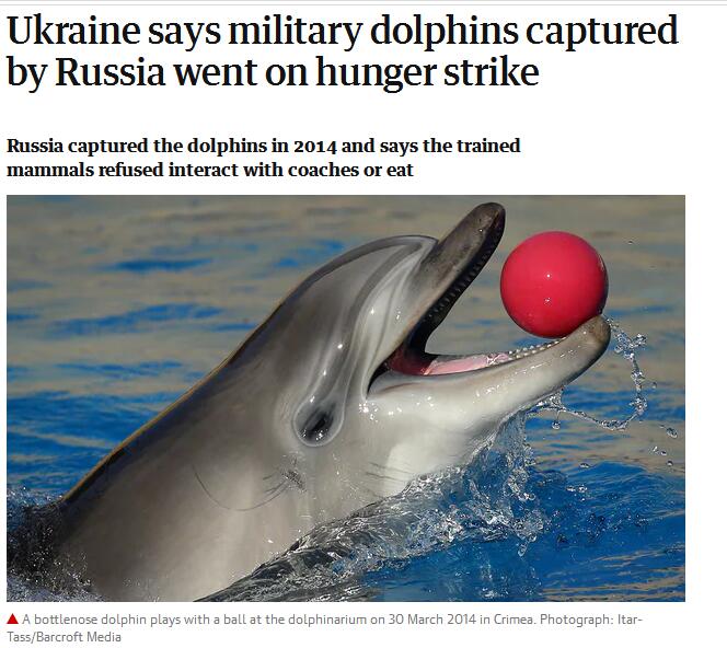 不可思议！乌克兰间谍海豚被俄罗斯抓走，集体绝食而死？