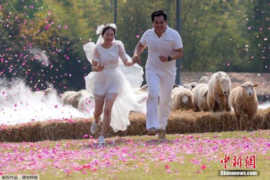 泰国旅游局发展清迈蜜月游 力邀中国新婚夫妻