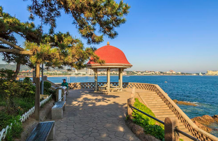 在山海间漫步 青岛新添的这些风景线超带感