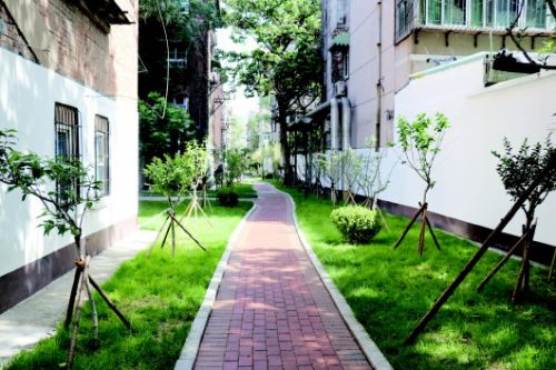 济南市中区用“绣花功夫”打造有温度的城区