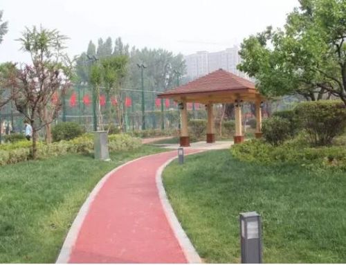 宁阳体育公园正式开园了 面向公众开放！