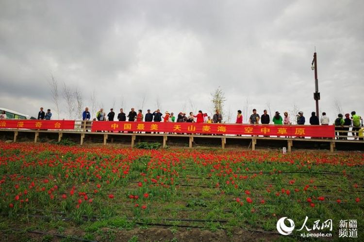吉木萨尔和奇台gdp_想去 去过 先布棋盘再落棋子 新疆昌吉州奇台县打造区域中心城...(2)
