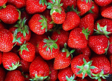省级贫困村前朱山村的草莓“变形记”