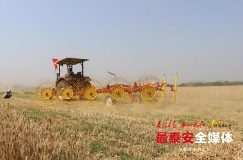泰安“三夏”农机新技术演示会举行