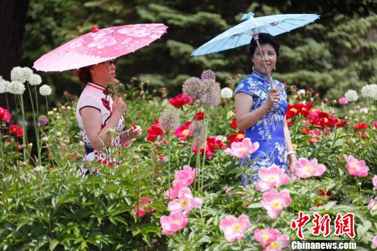 加拿大奥沙瓦牡丹节被冠名“中国传统文化周”