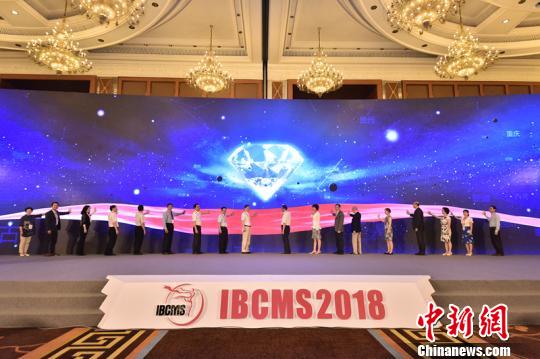 首届国际乳腺肿瘤多学科峰会在蓉举行