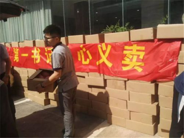 图片3