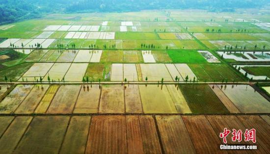 农业农村部：全国13万个村组完成农村集体产权制度改革