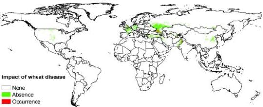 中科院国际首发全球小麦病虫害遥感监测报告
