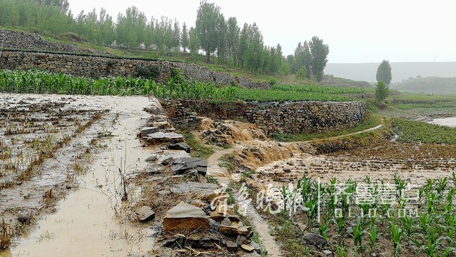 最新统计！淄博潍坊等6市14县(市、区)遭受洪涝灾害