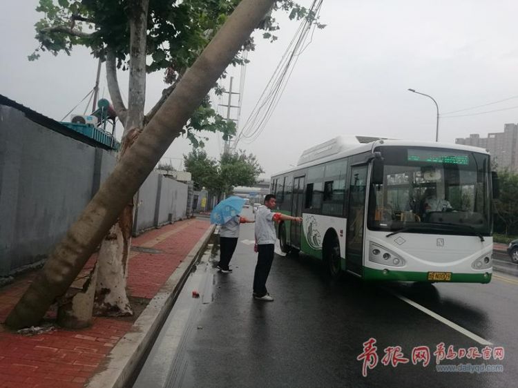 电线杆雨中"歪脖 暖心公交驾驶员车流中冒雨提醒