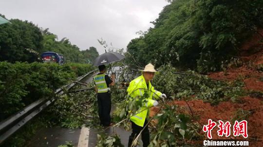 四川暴雨致京昆高速成雅段等多条高速公路交通管制