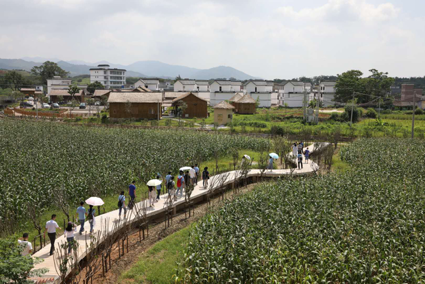 【脱贫攻坚在行动】因地制宜搞产业 “造血式”扶贫助南雄灵潭村华丽蜕变