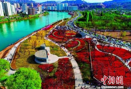 甘肃永靖“蓝色黄河”与百亩花堤相映促旅游发展