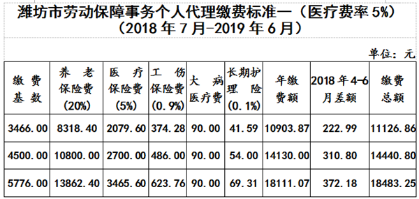 潍坊2018年社保6月29日起缴纳 提供五种缴费