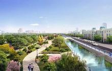 淄博东猪龙河绿化景观工程8月动工 新建7座桥梁9处景观钢坝