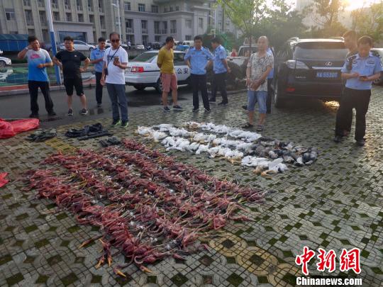 376只鹭鸟被猎杀 福建警方破非法狩猎野生动物案