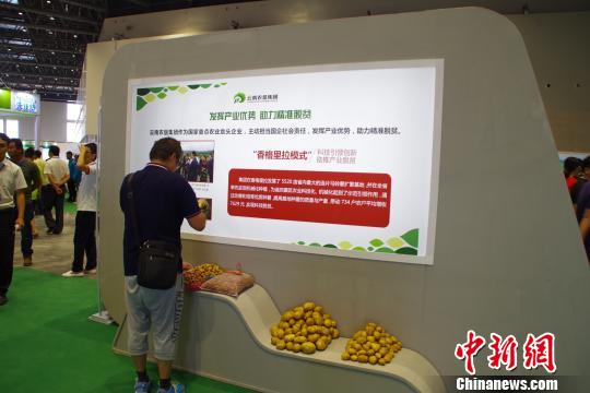 第二十届中国马铃薯大会云南开幕 助力脱贫攻坚
