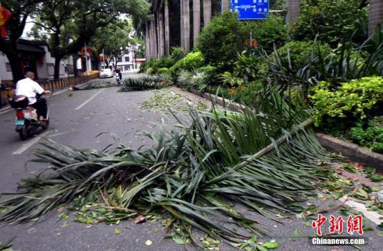 台风“玛莉亚”登陆福建连江 海陆空交通全面受阻