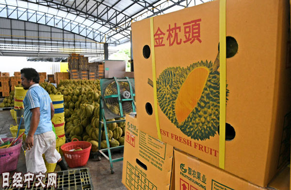 “水果之王”俘获中国“吃货”日媒：榴莲撼动亚洲消费版图