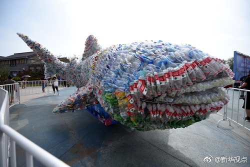 酷！日照惊现一条废旧塑料瓶做的“鲸鲨”