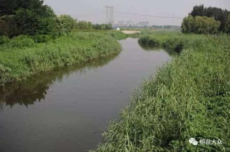总投资8000万元 桓台乌河河道走廊人工湿地年底完工