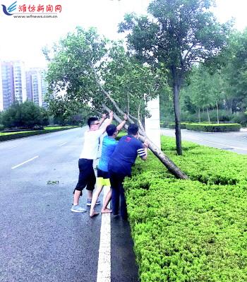 台风离去潍坊各大水库“解渴” 湿热天气再度来袭