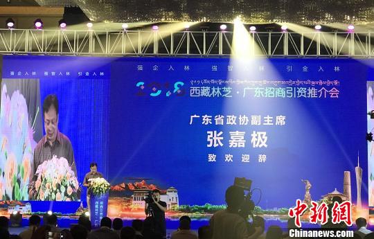 西藏林芝·广东招商引资推介会首站引资超200亿元