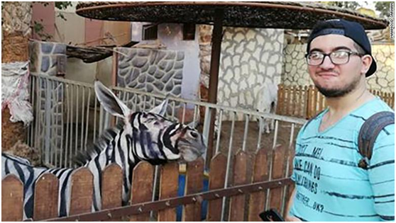 埃及一家动物园被指“指驴为马” 游客质疑园方给驴上色伪装成斑马