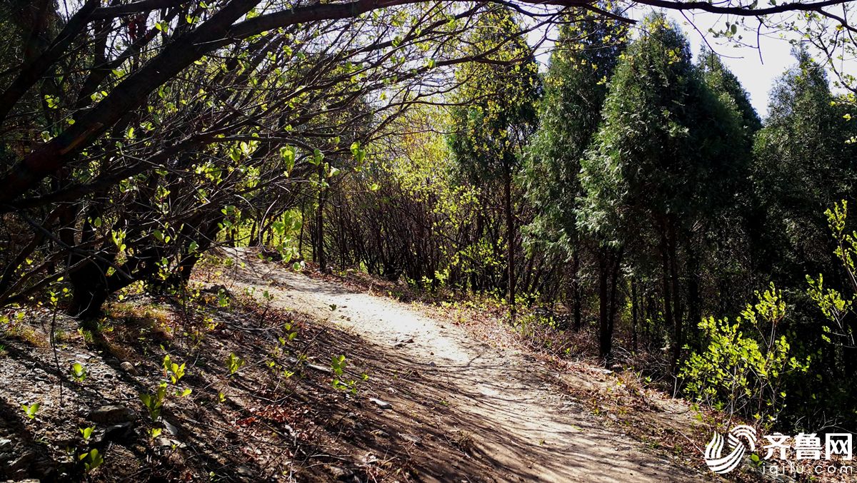 济南摄影师记录山间小路四季,美得不像话!