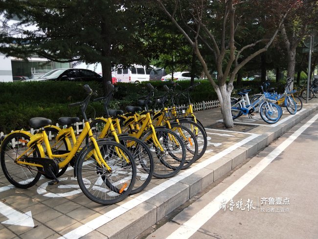 淄博共享单车总量减少一半多 实现数字化监控